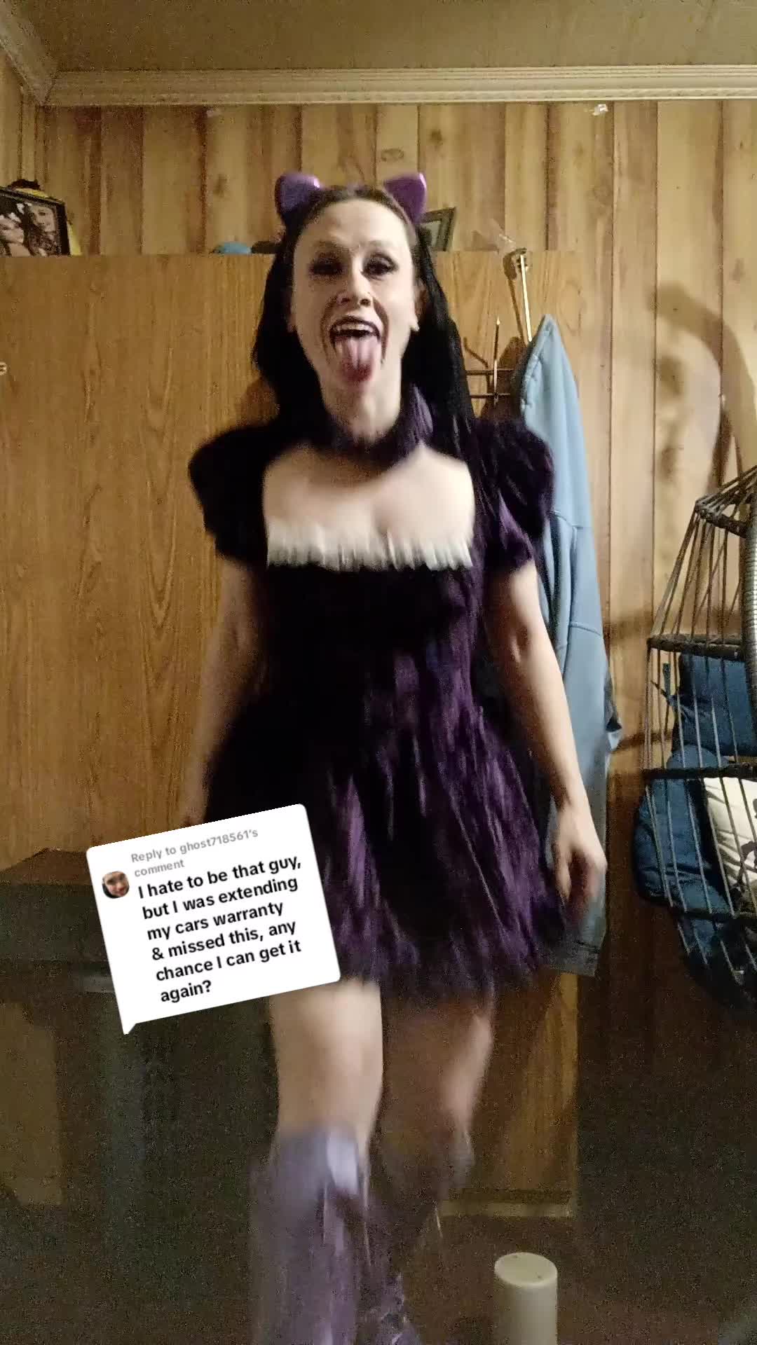@KimmyKat 😻
