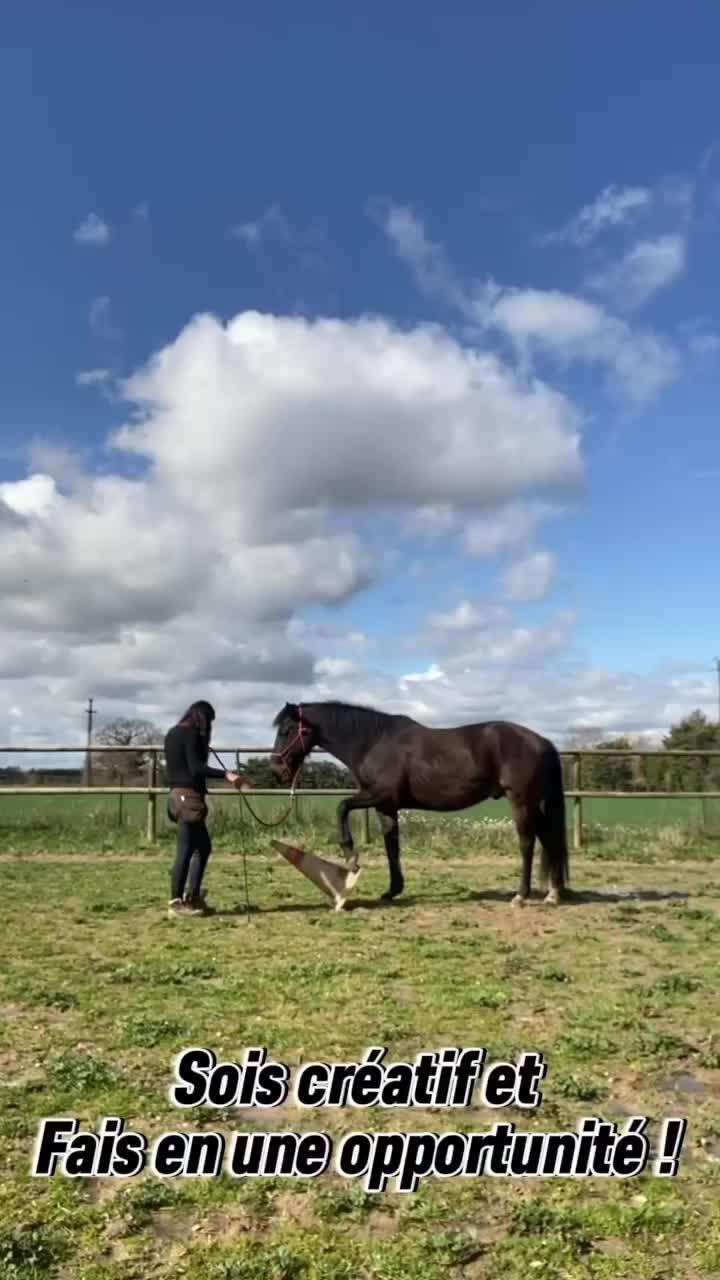 @Horsewoman Trip
