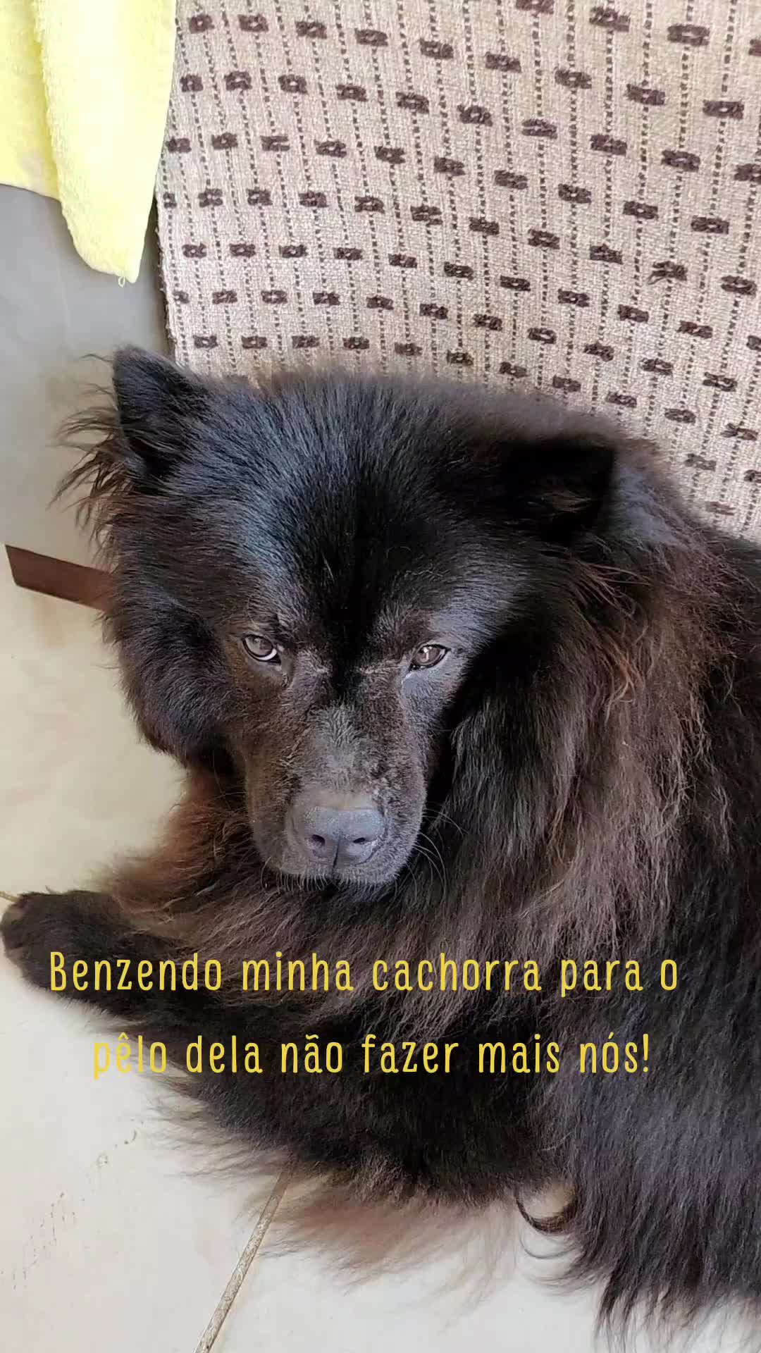 @frida