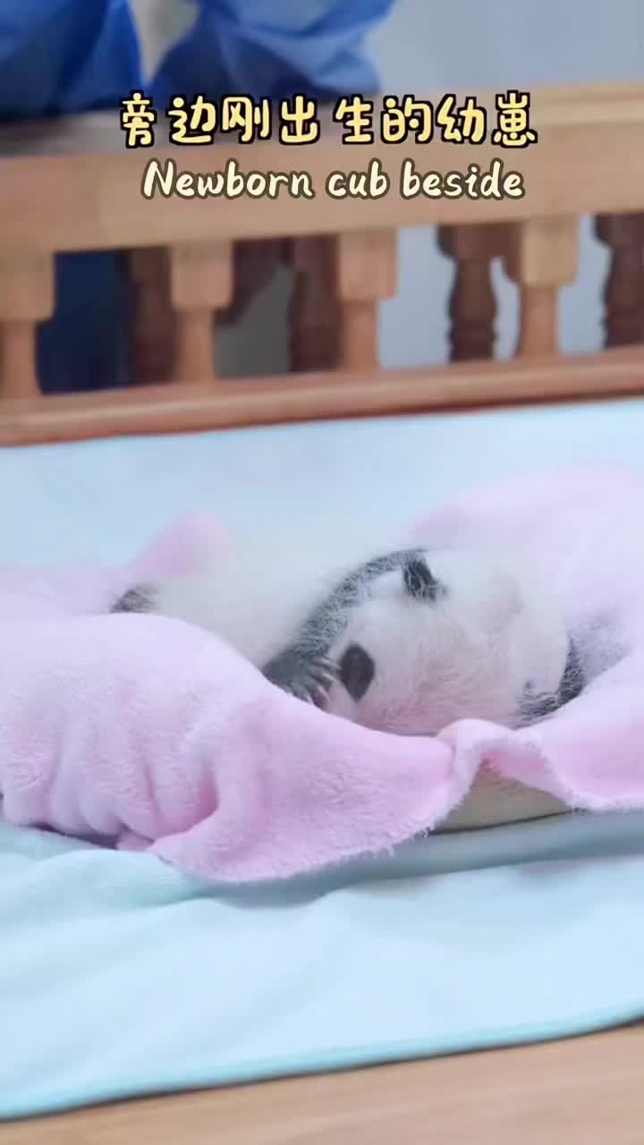 @cute little guy
