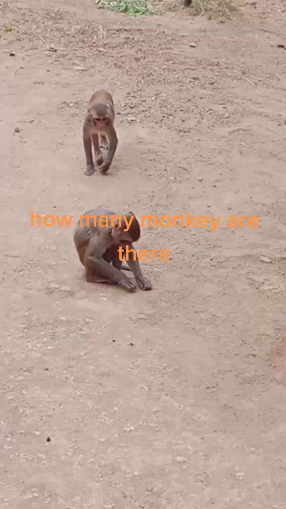 @pushpalatha 143