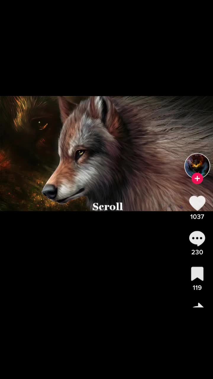@user1562941127660