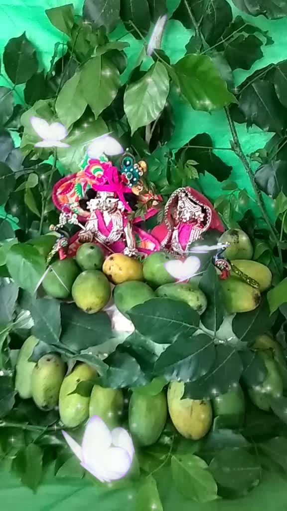 @Gaurav Krishna Das