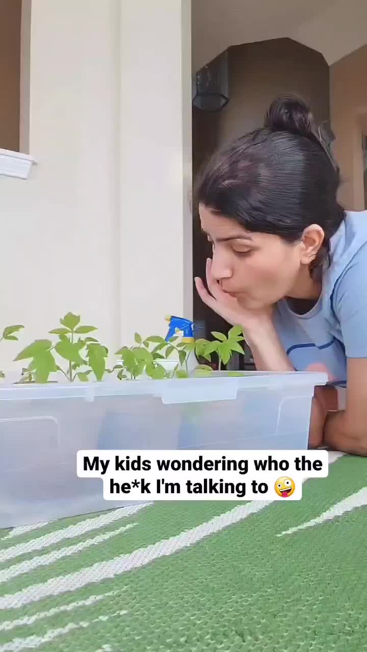 @chezpiddu