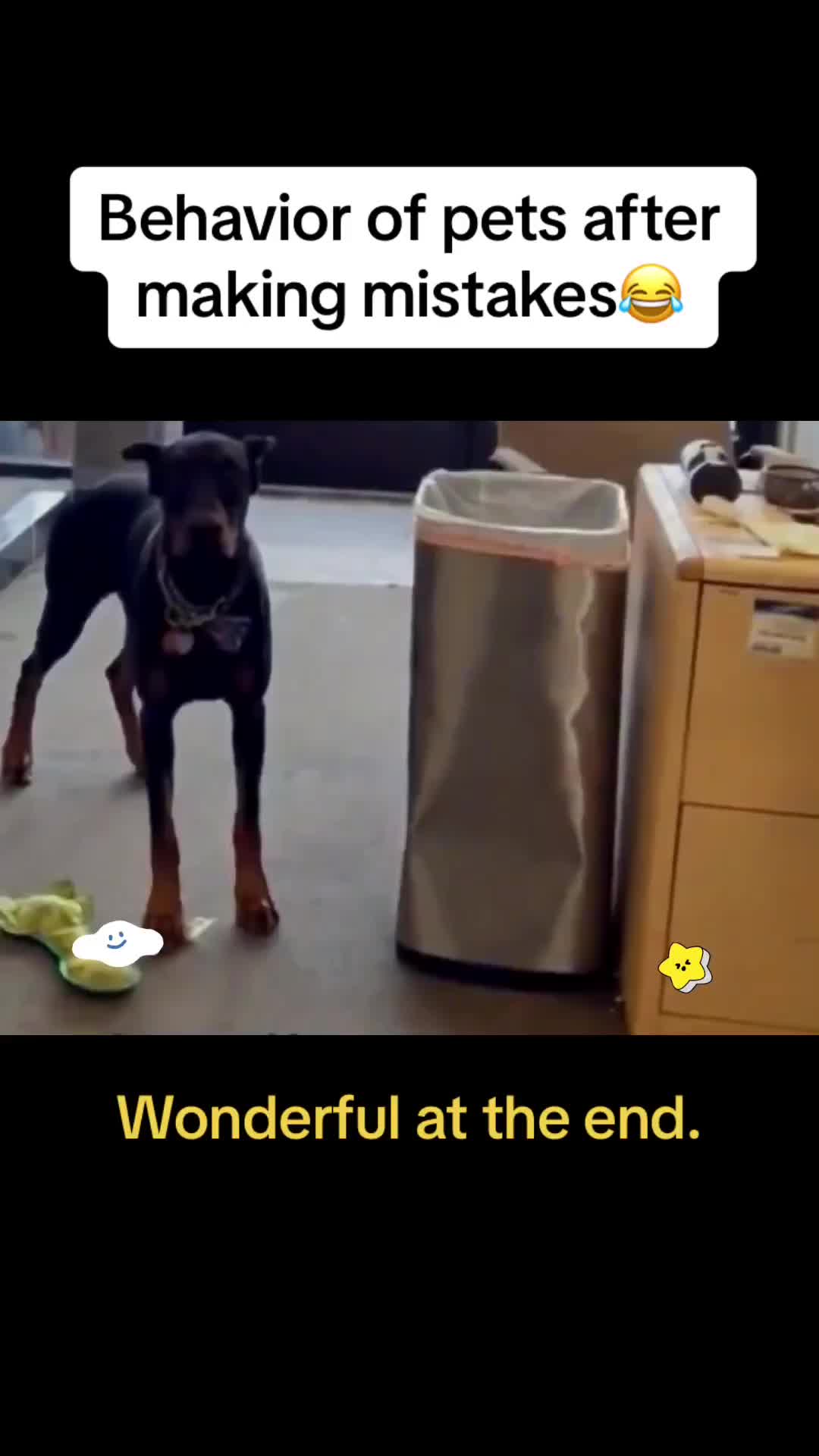 @Cute Pets😻