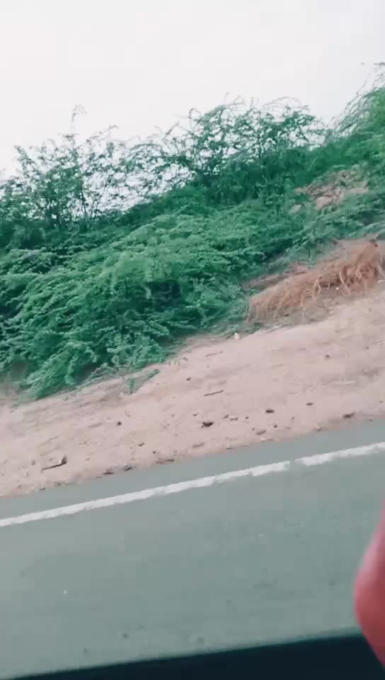 @Rajpurohit Baisa💓💓