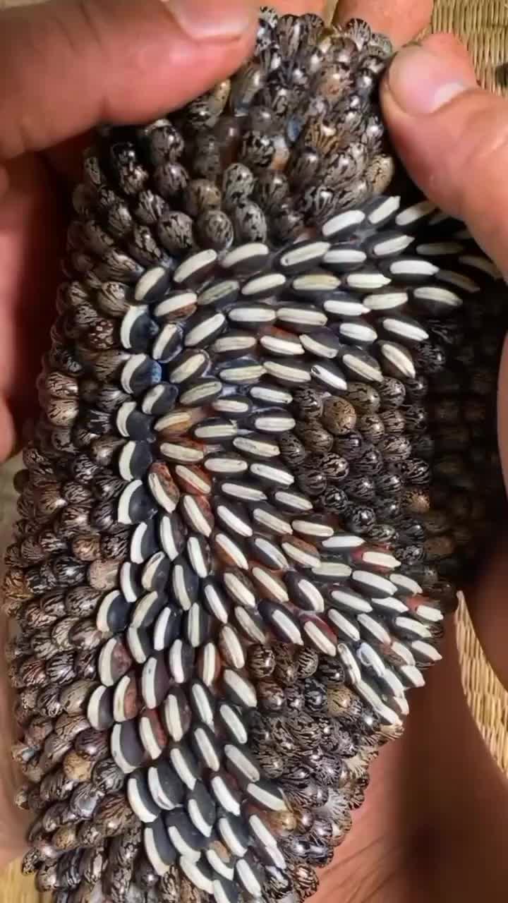 @tickyouu