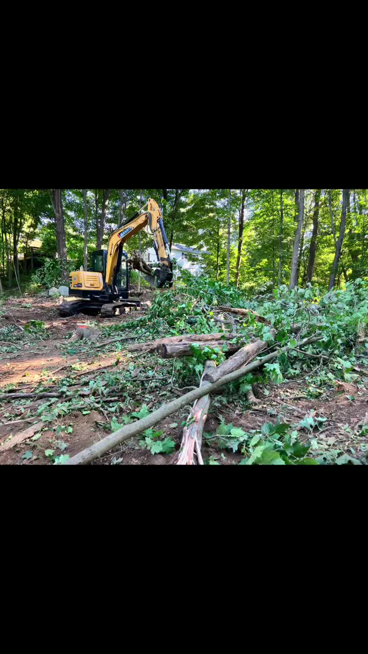 @Chads Tree Service