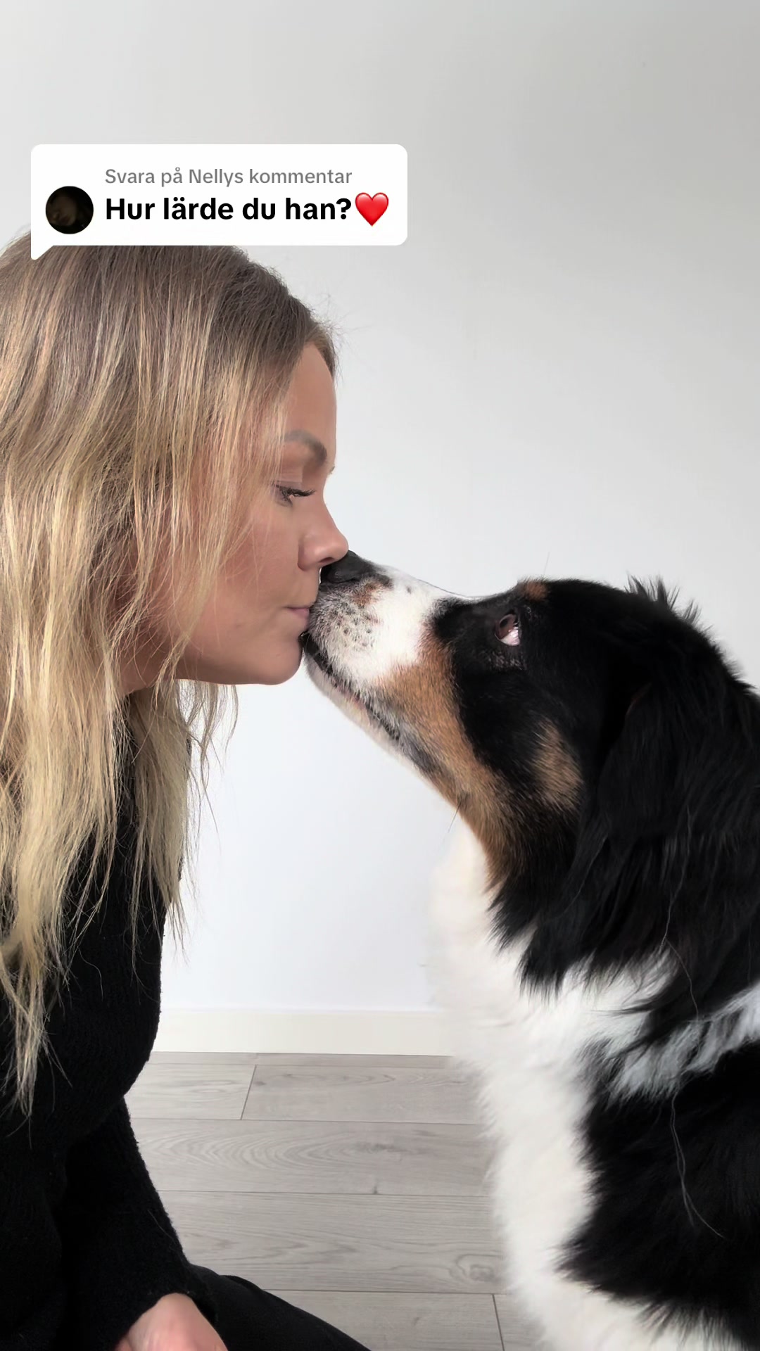@Vilja - Australian Shepherd