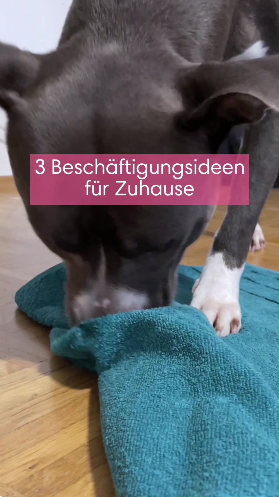 @diefutterbar