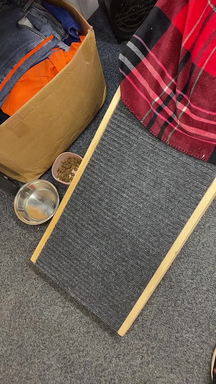 @mrpaddymagic
