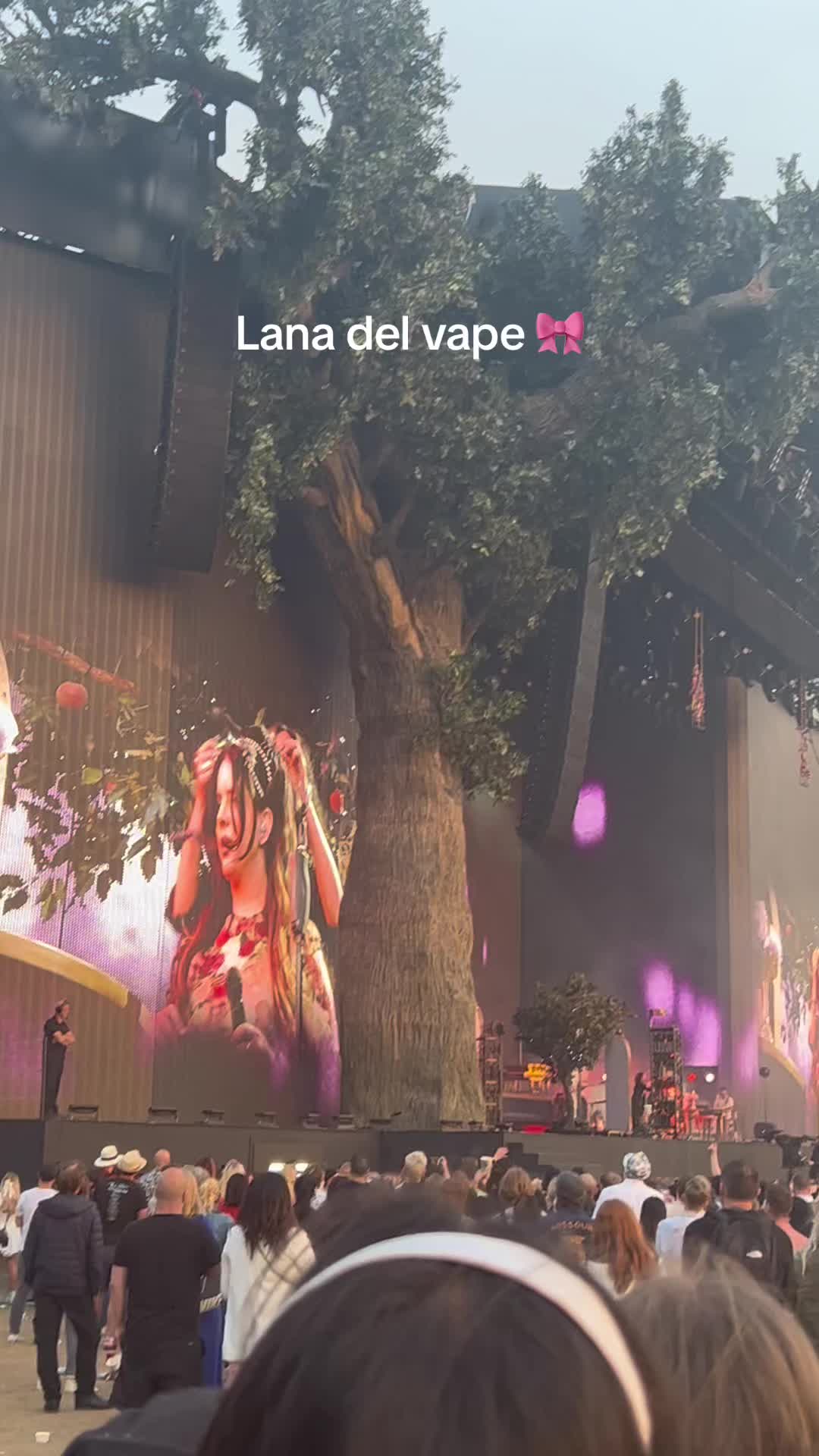@Sara 🦋