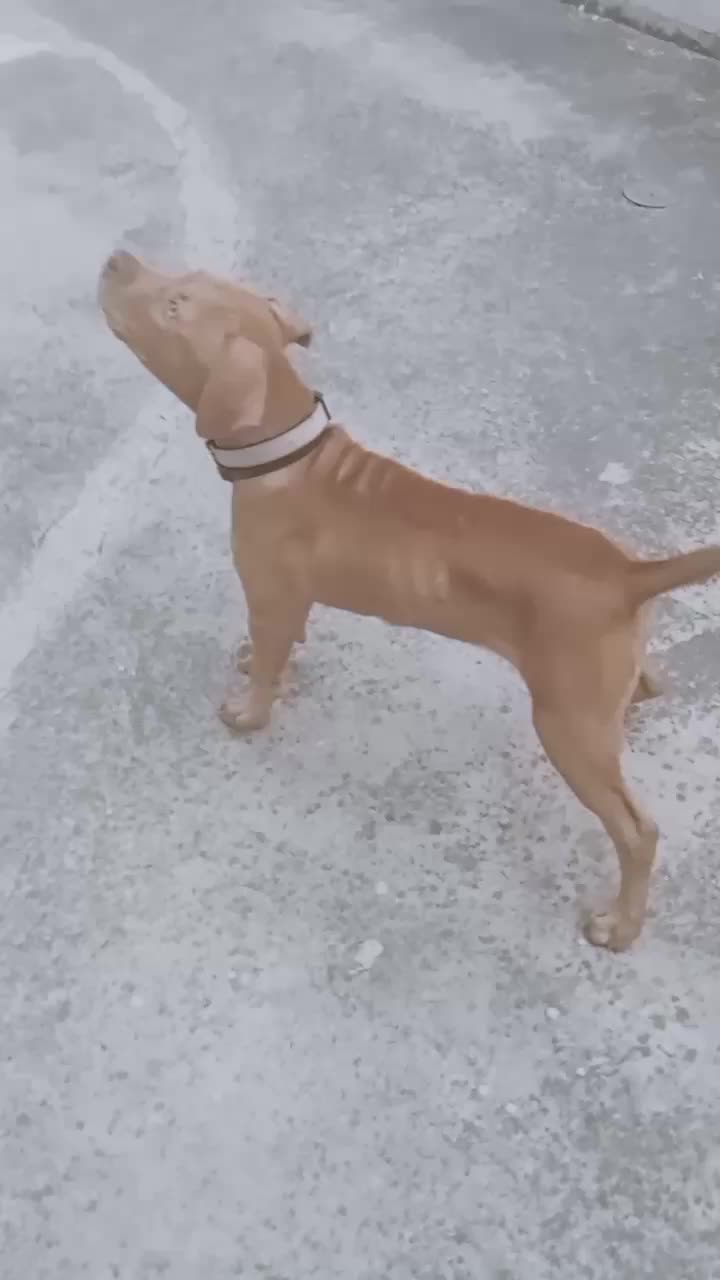 @troisiomarika