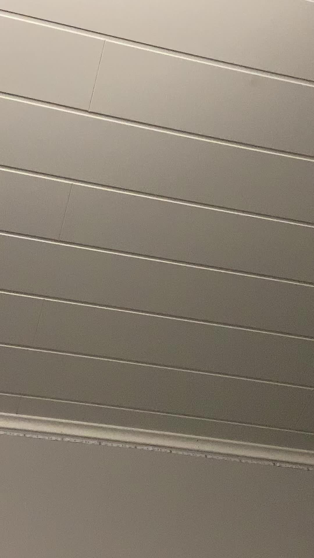 @p&auml;iv&auml;kirjani