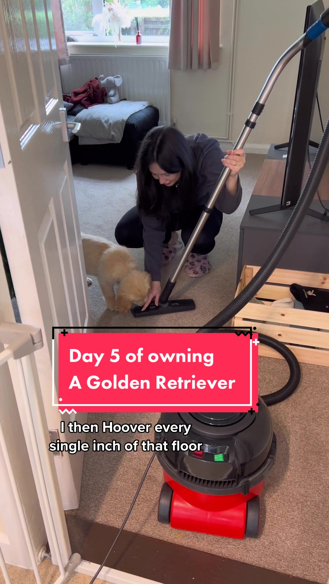 @Sheldon The Retriever