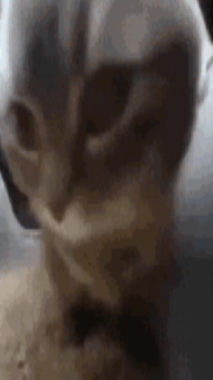 @Nubek1234