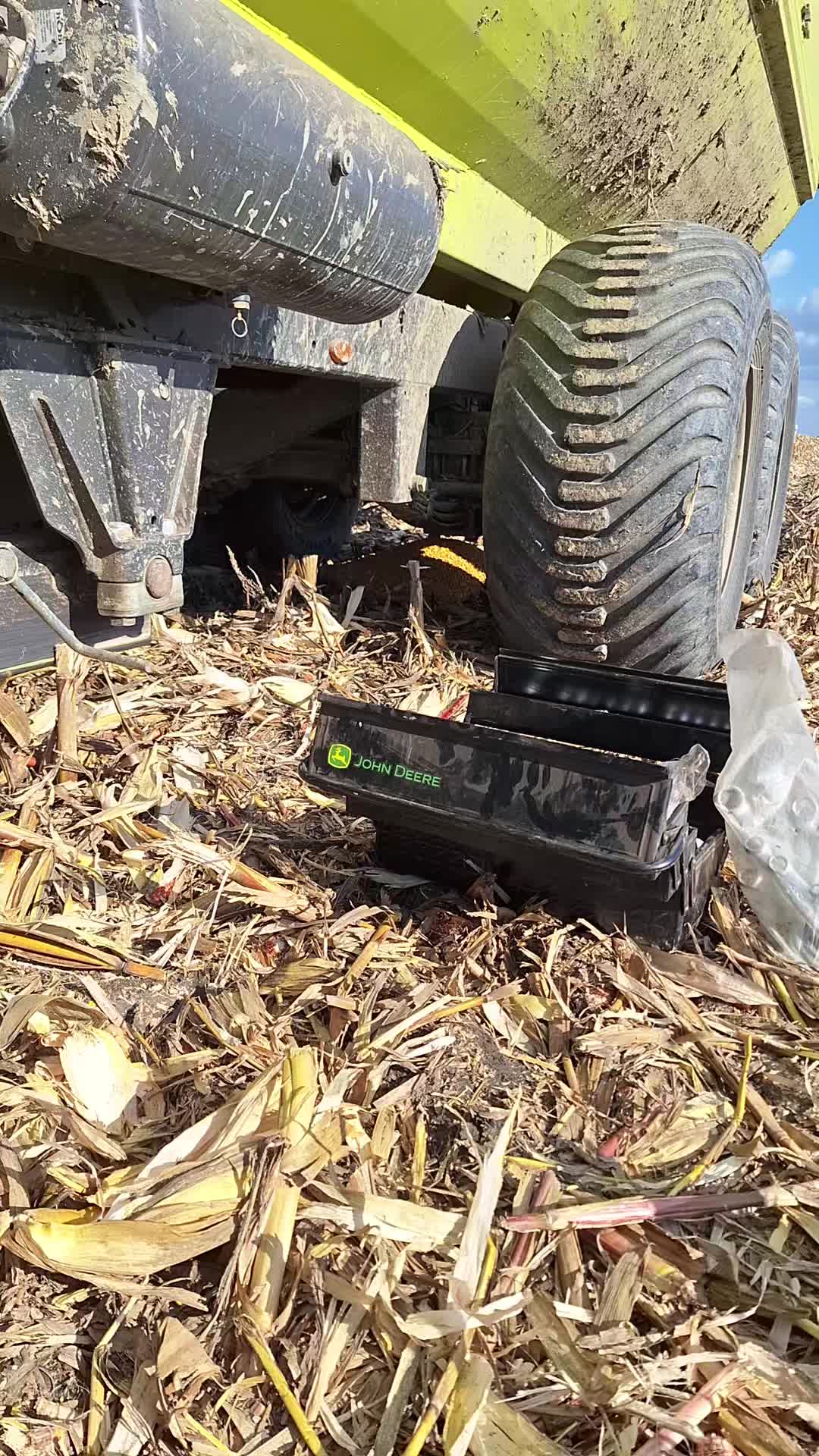 @Sasa Miokovic