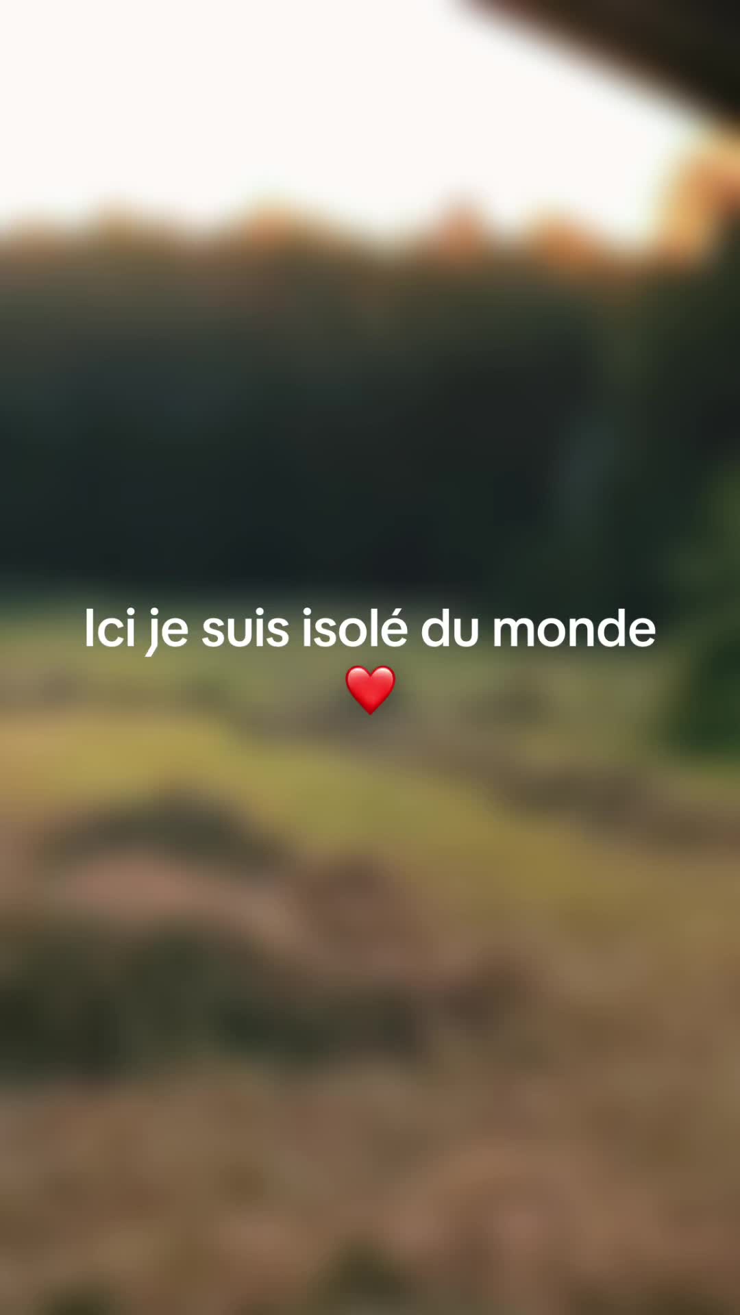 @tony.m74