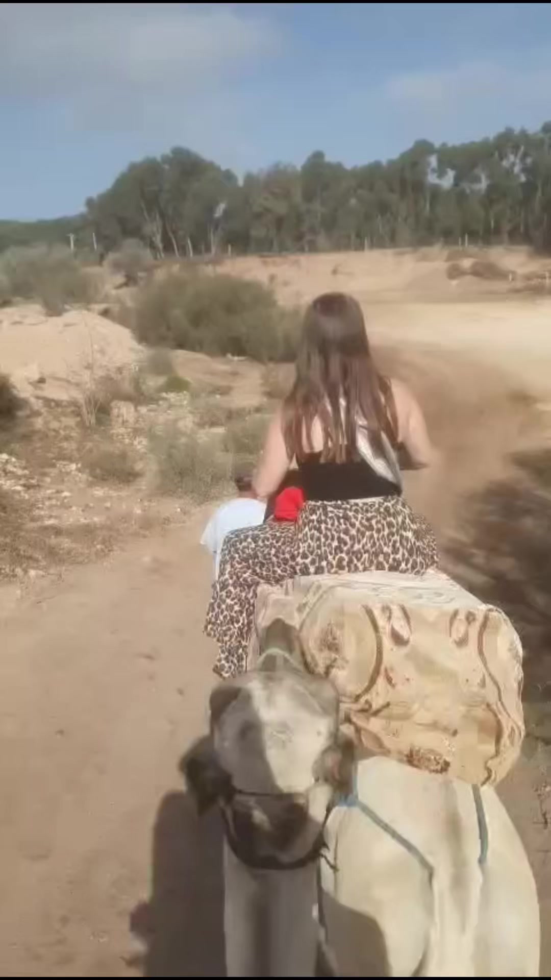 @Edelwenn