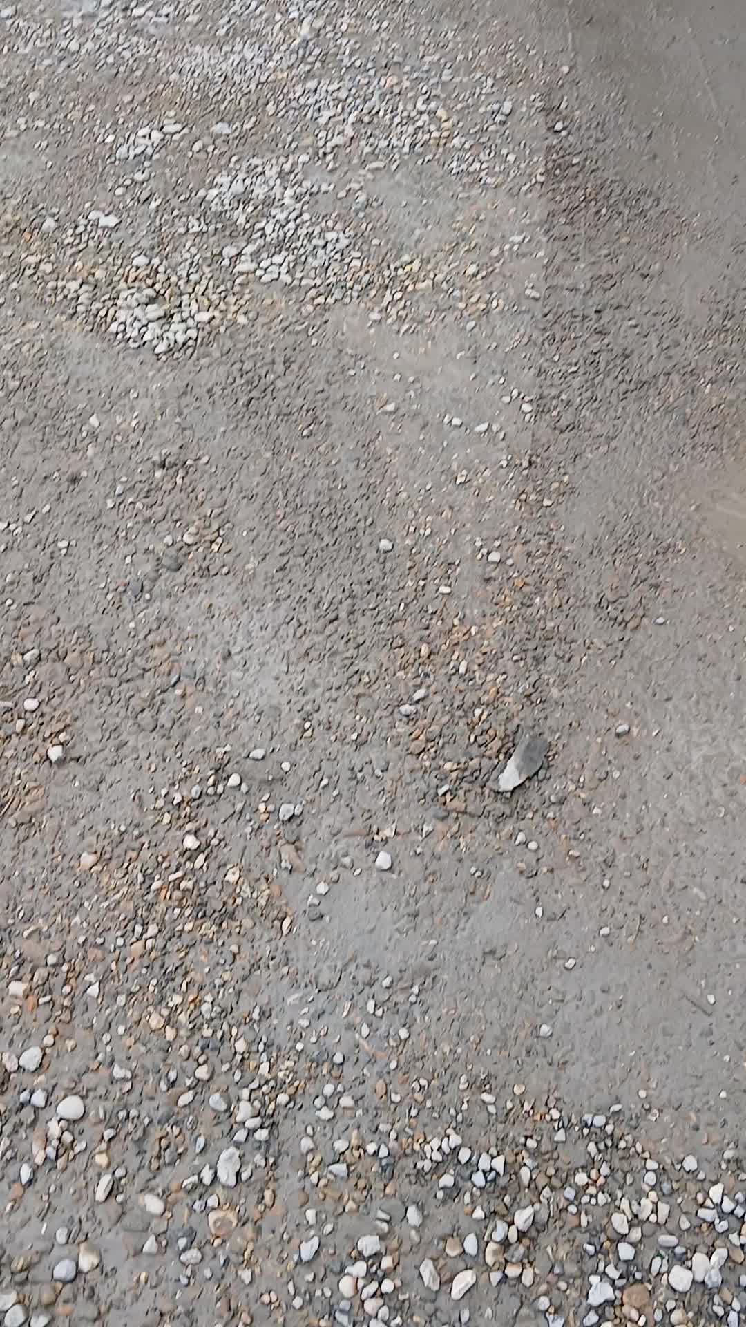 @Sukhpal Singh