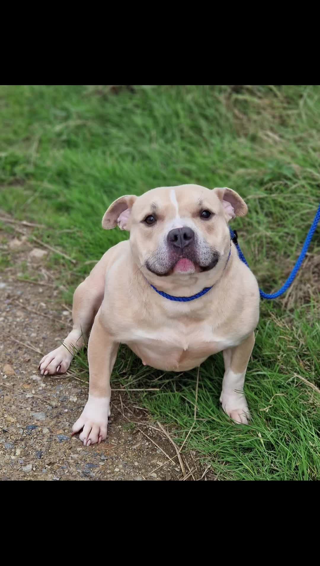 @Greenacres Rescue