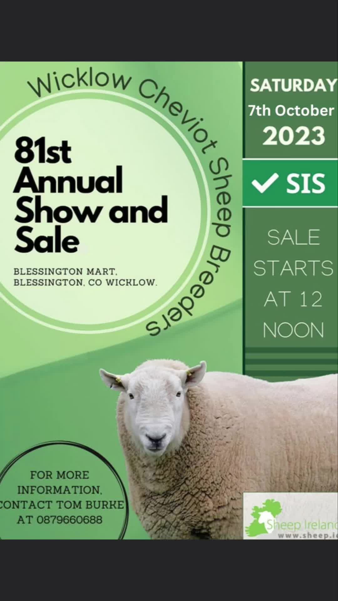 @Blessington_mart