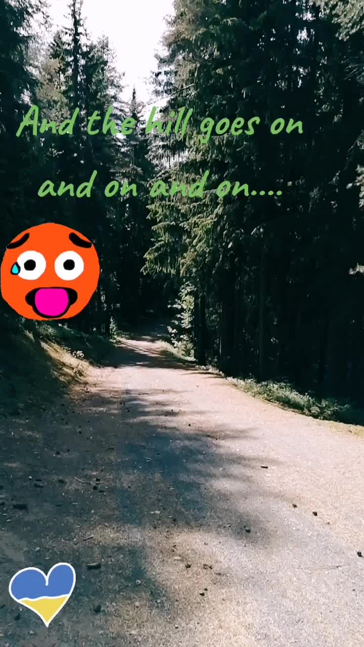 @Mira Tiirikainen