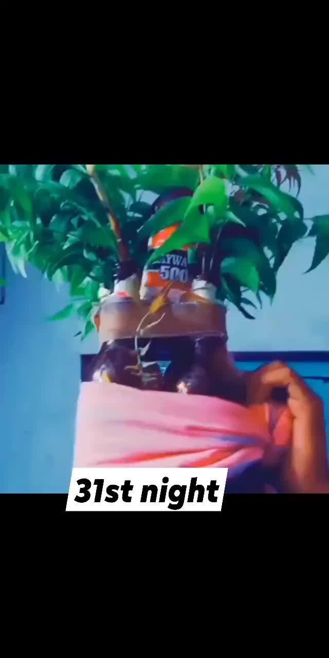 @user2059485546306