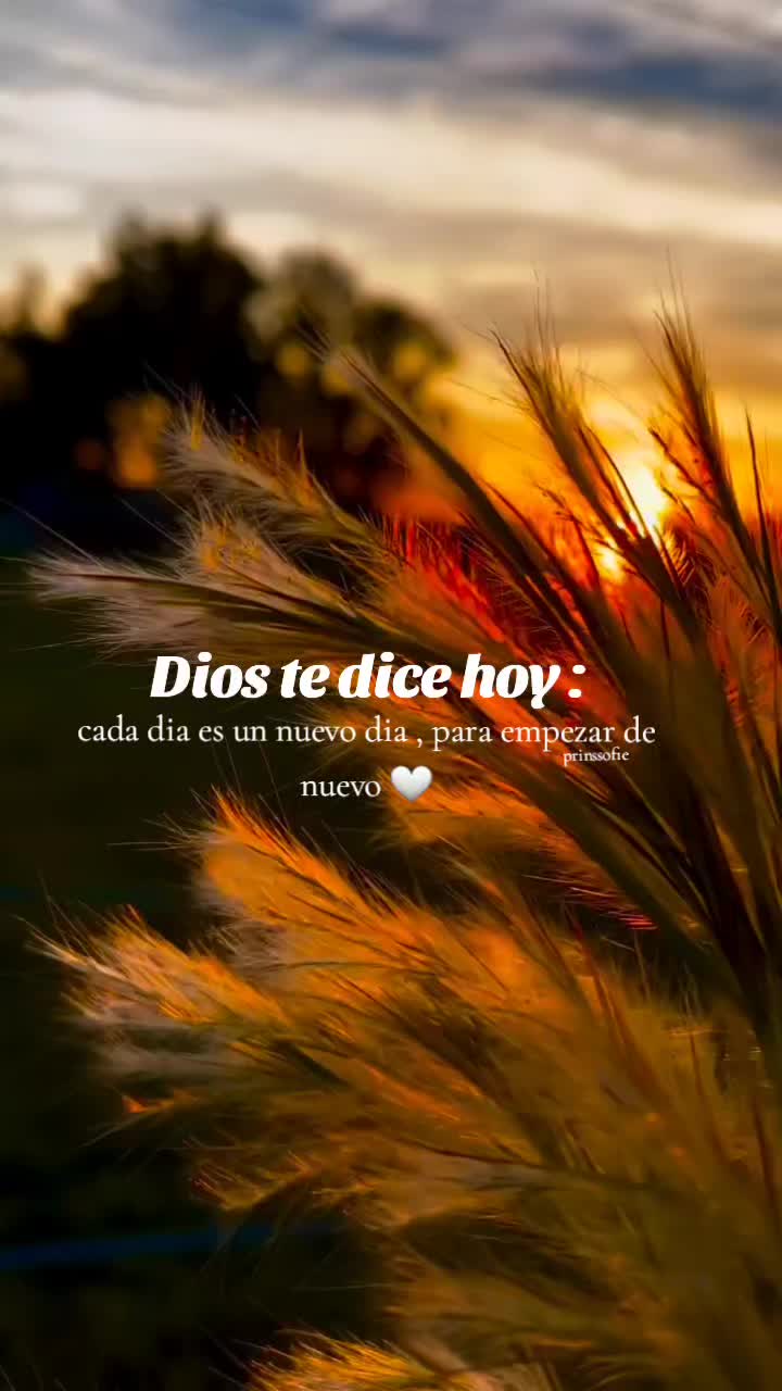 @📖✍🏼LETRAS DE PRINSS👸🤍