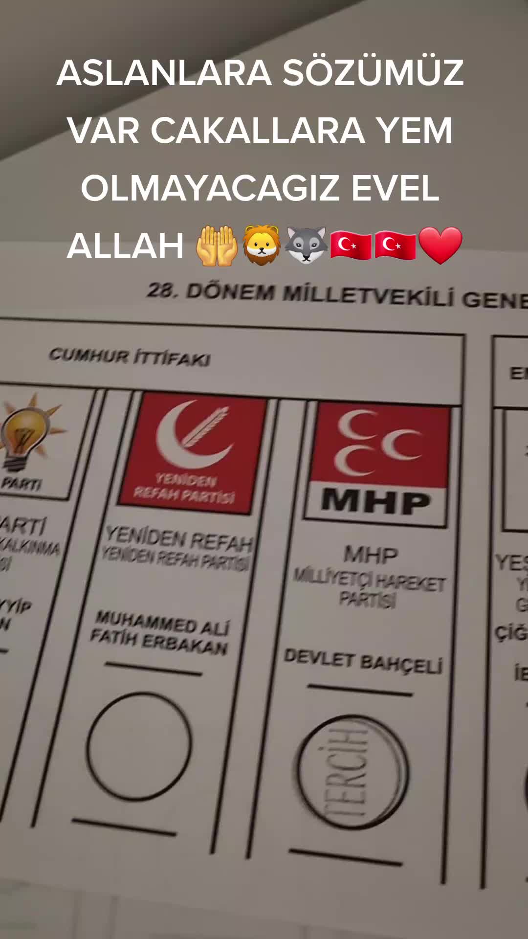 @Celal Hascelik