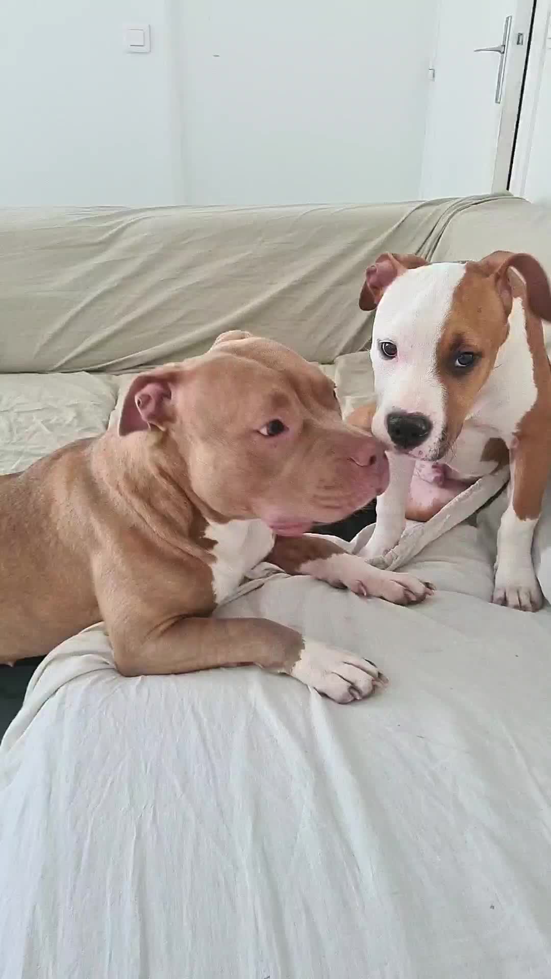 @Baby'sNala