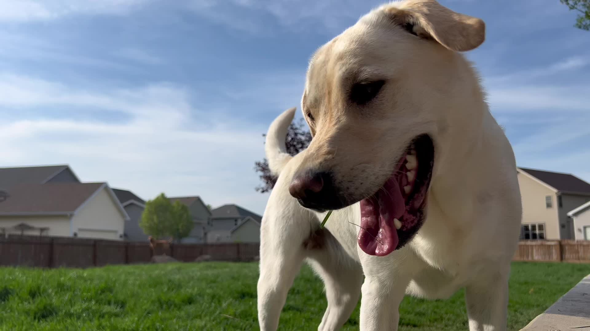 @Morgan