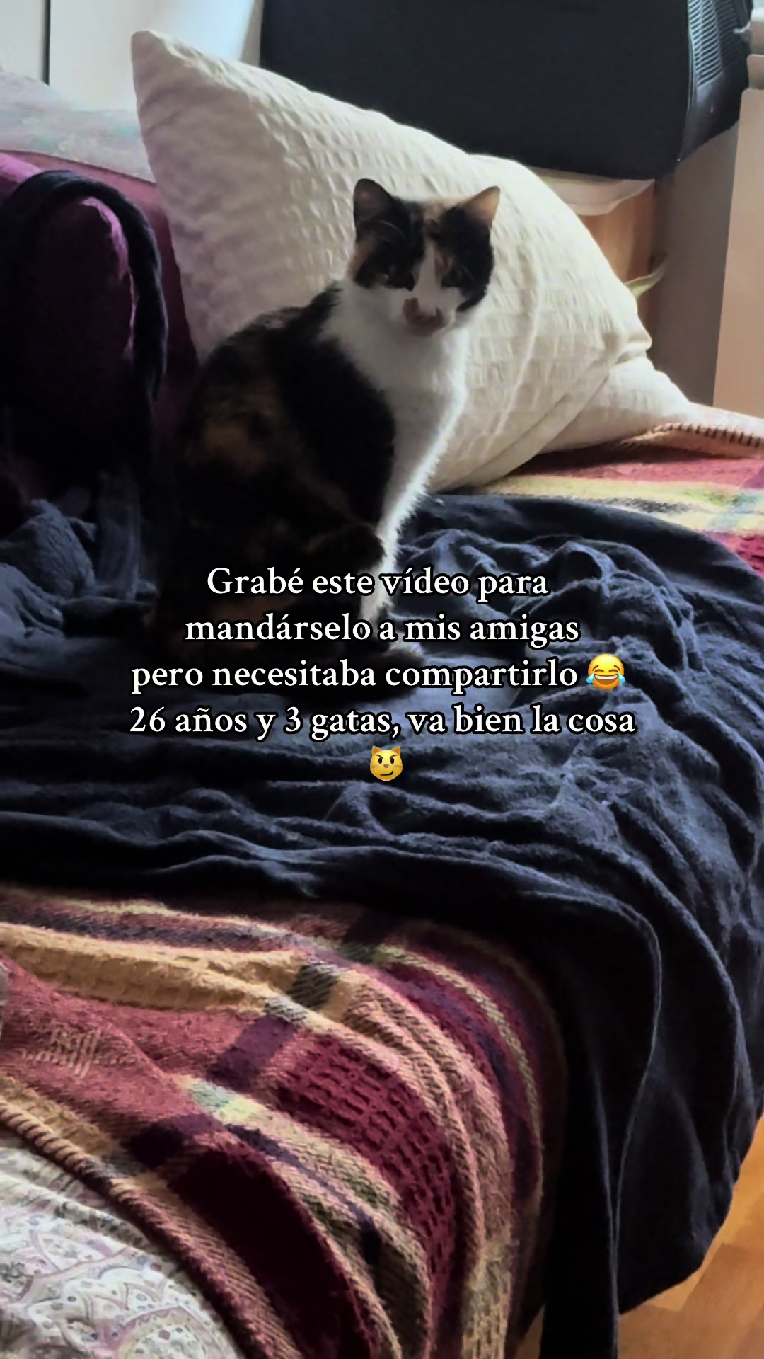 @Laura