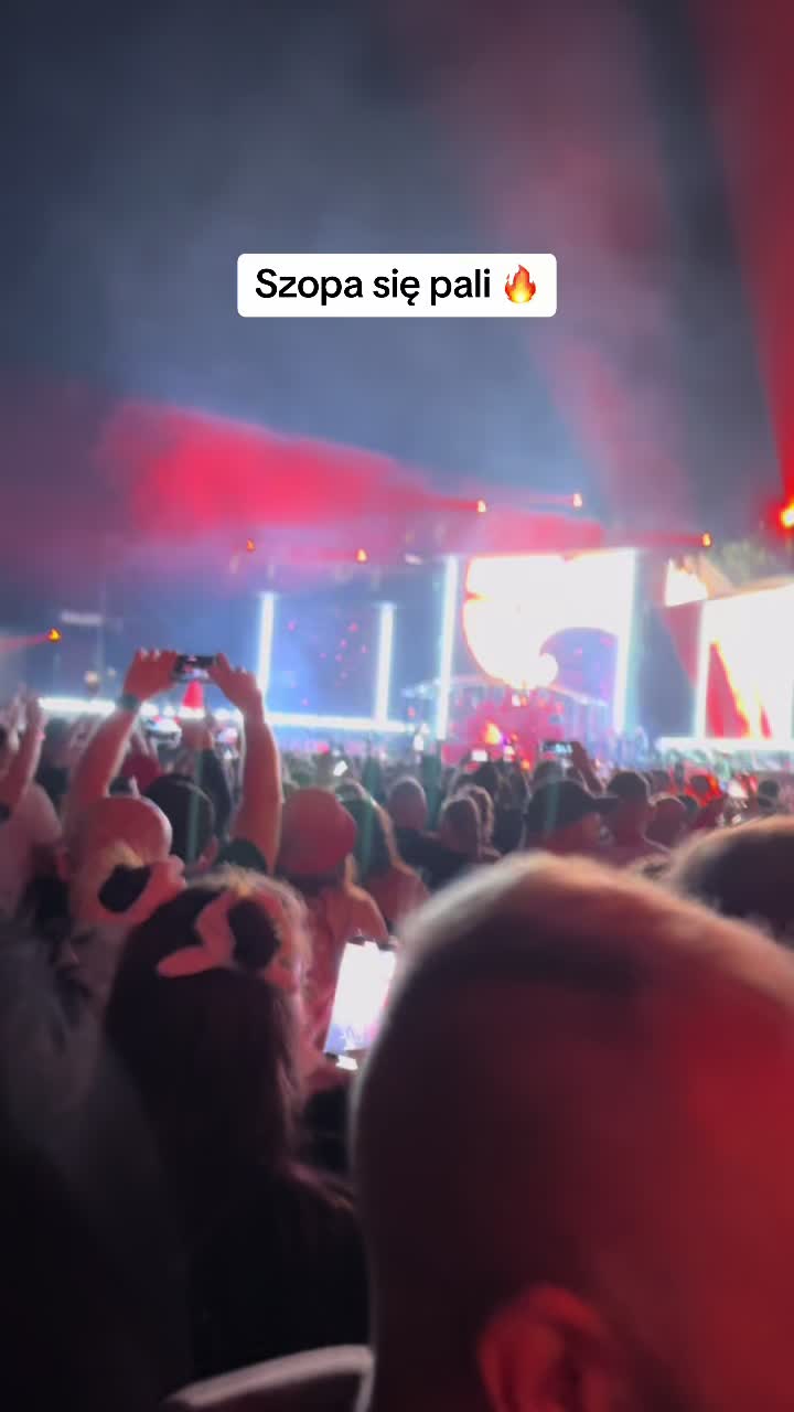 @areesmusic