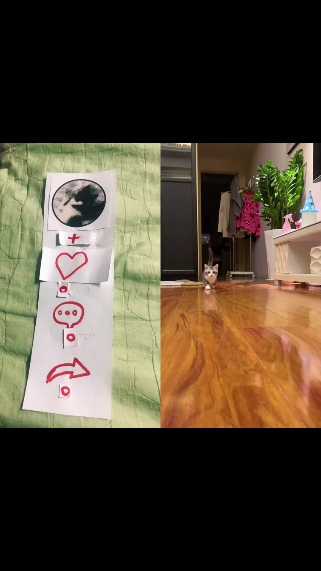 @maxrsgd