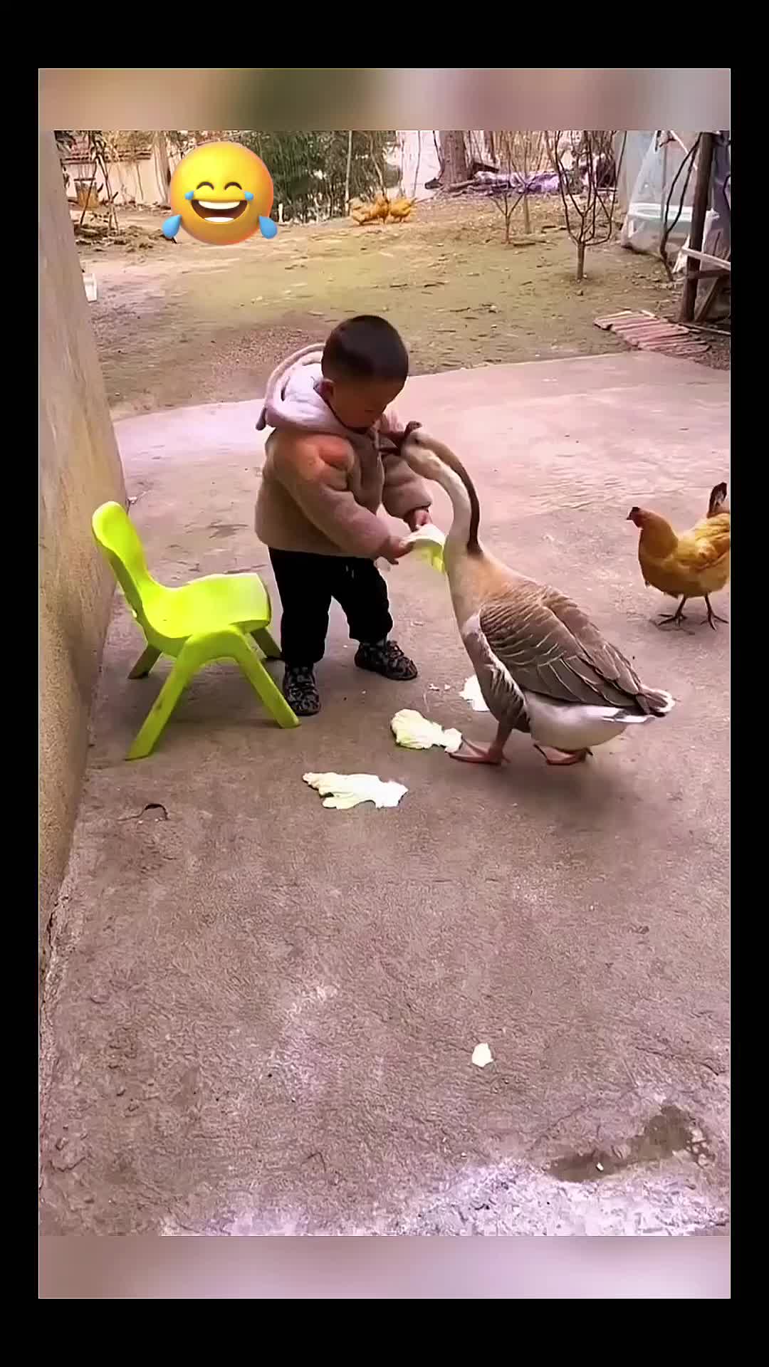 @Animal Home