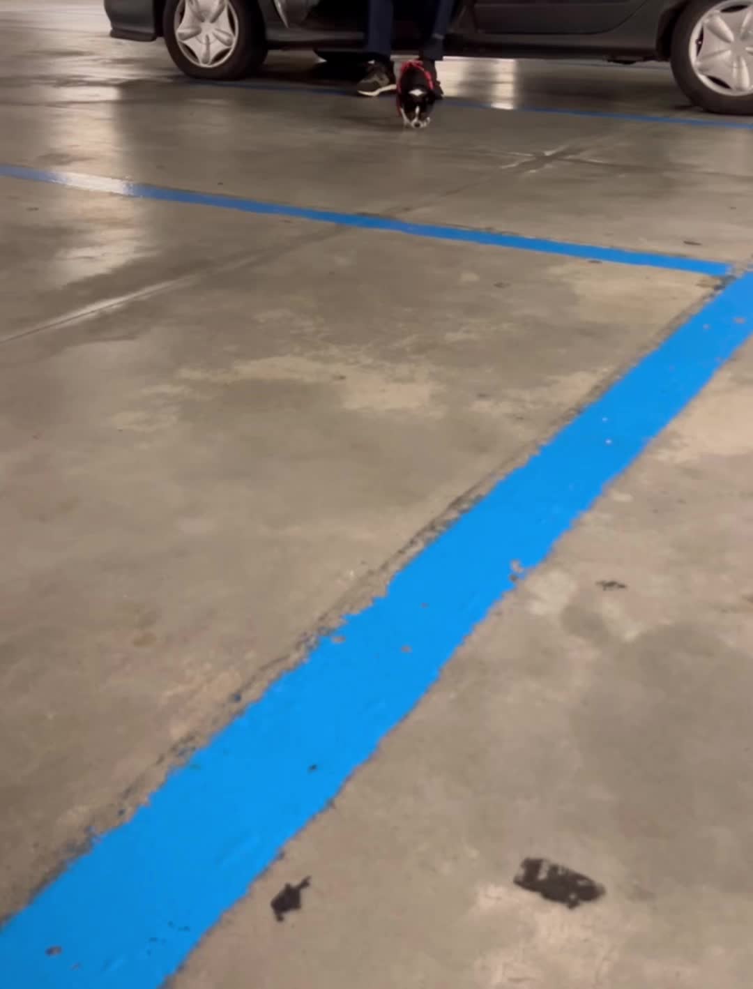 @Kx000