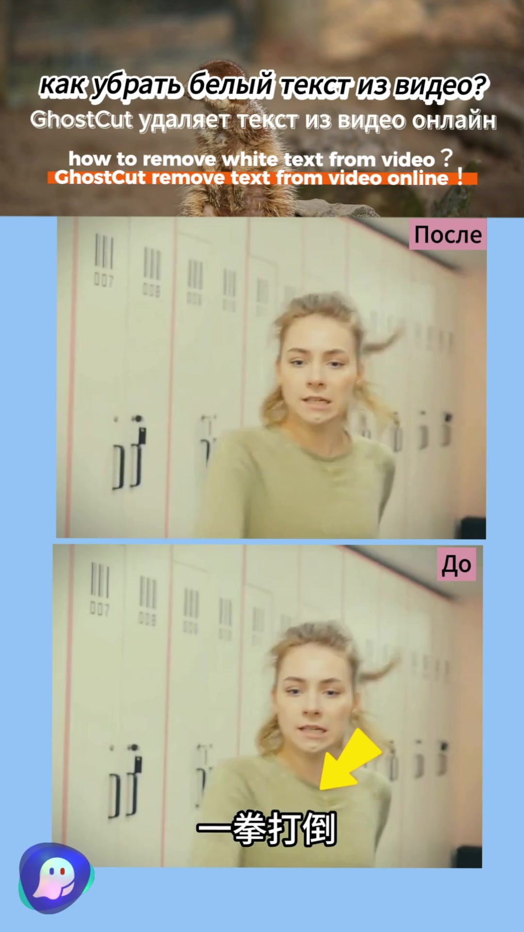 @videotranslation