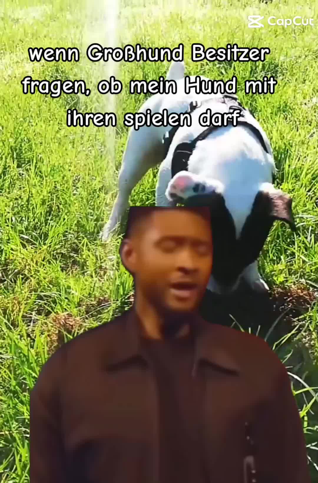 @jackbulli