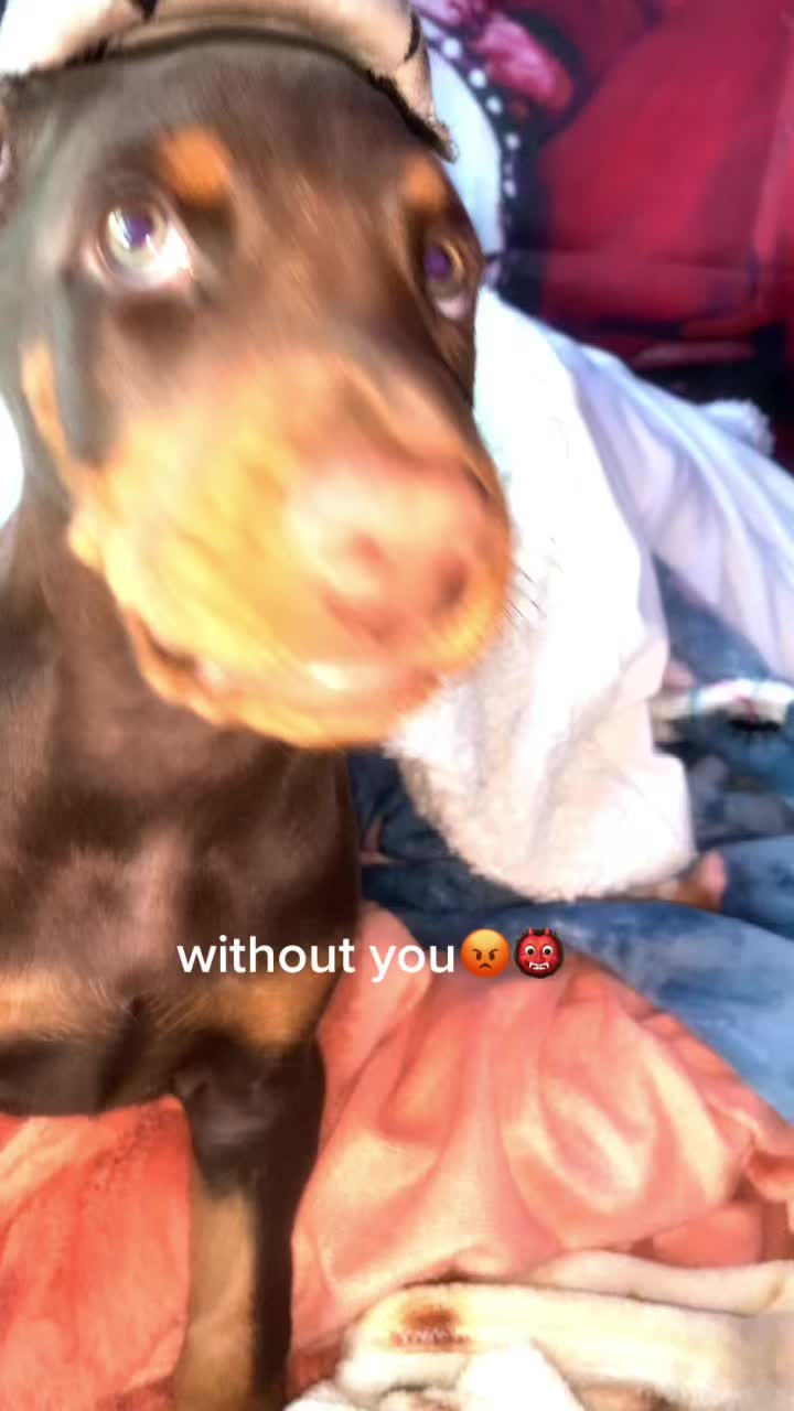 @drew