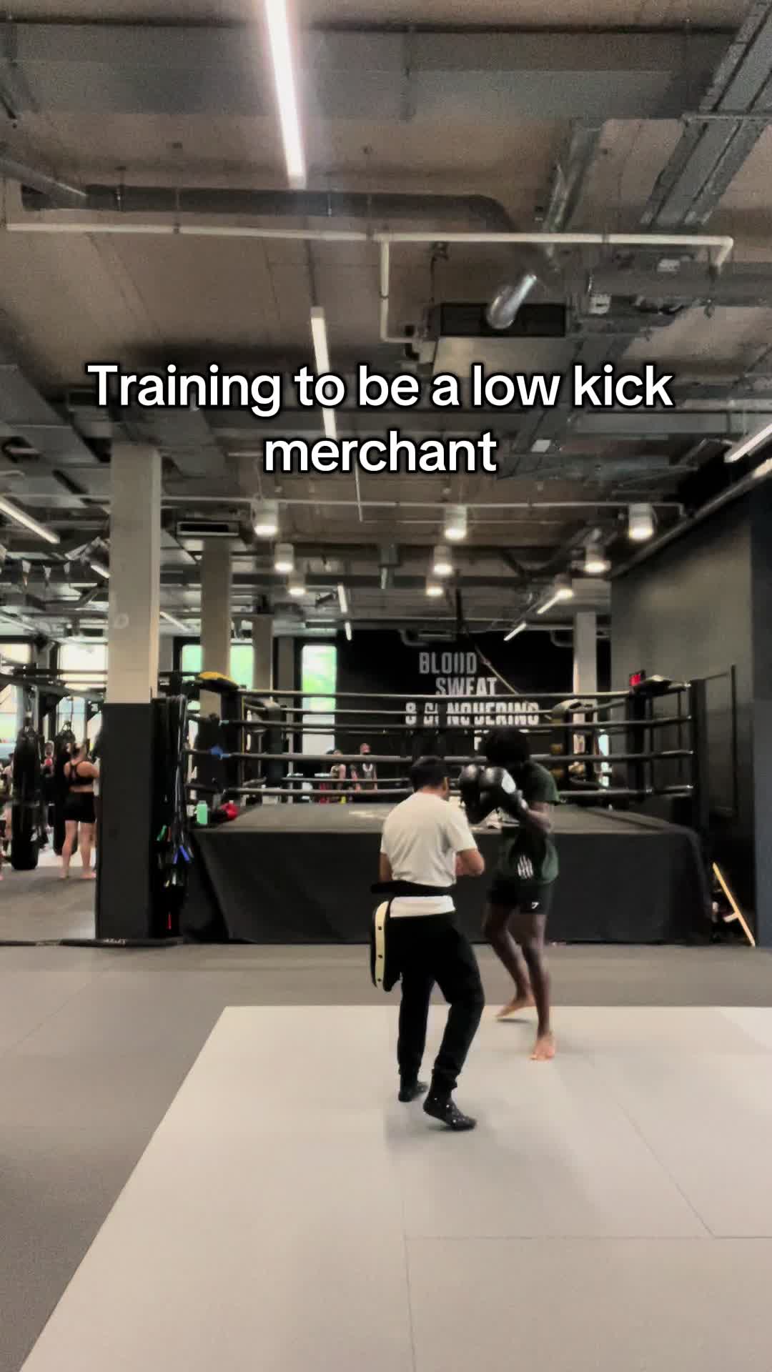 @Bfights