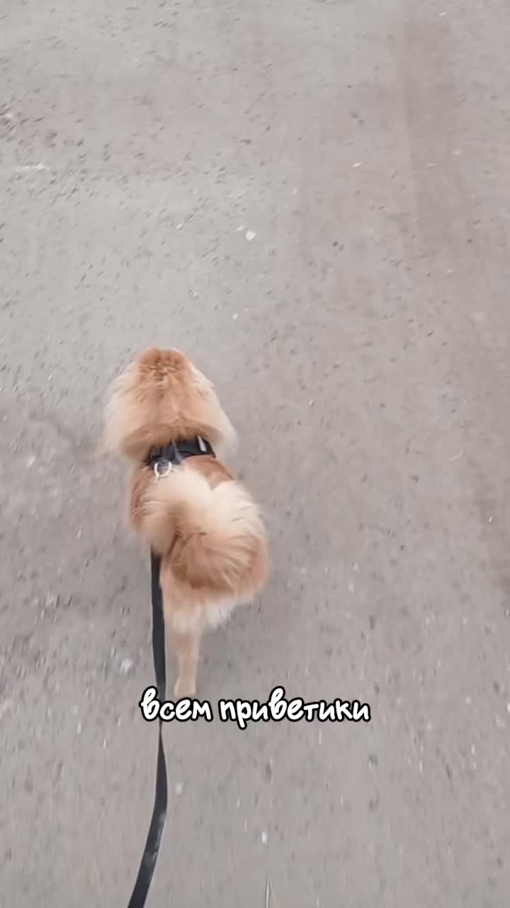 @бк💋