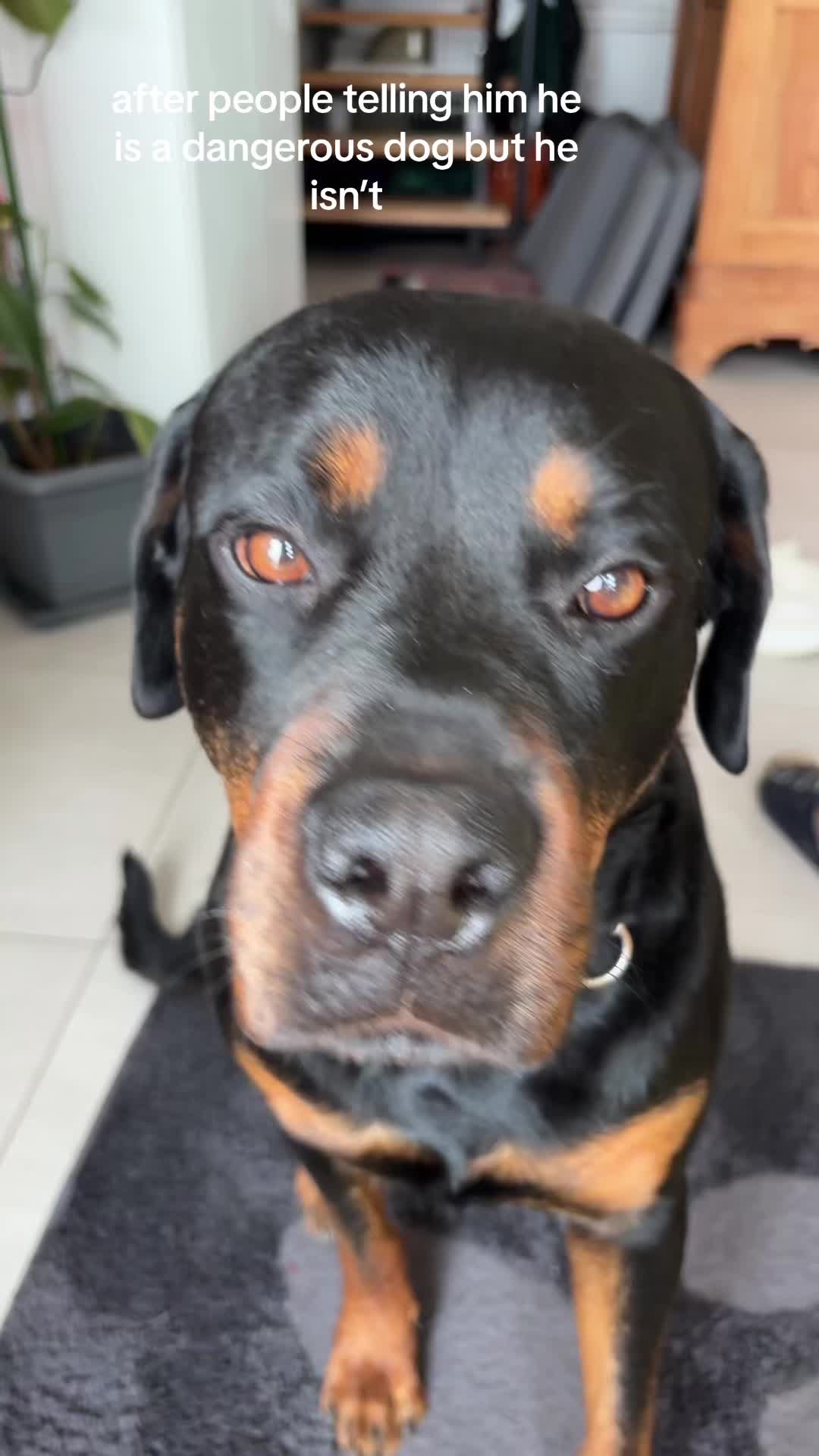 @𝒫𝒶𝓊𝓁𝒶
