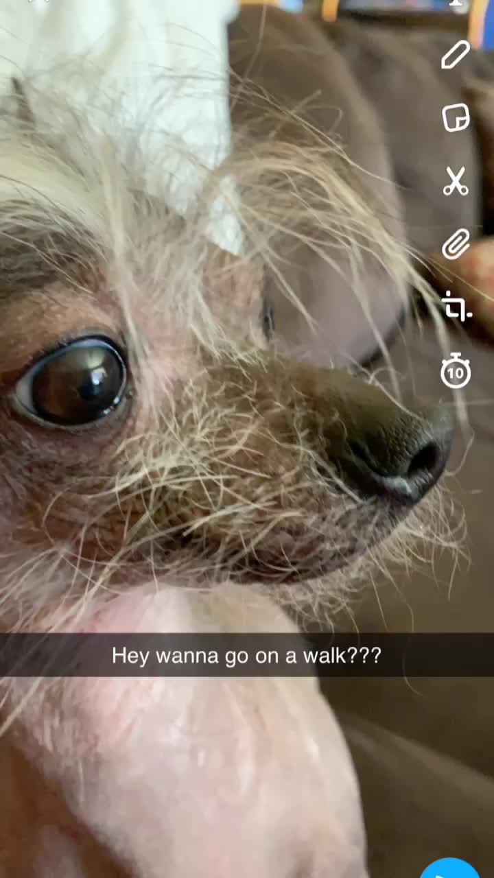 @Spike