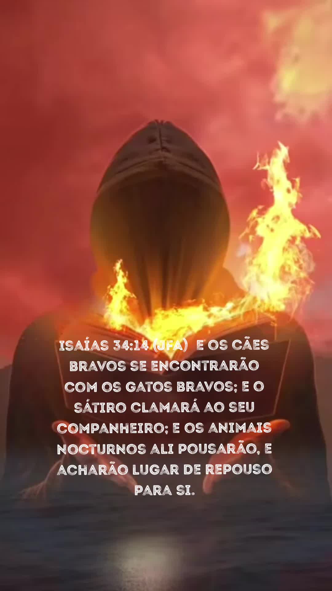 @👑@Justiça 💎🦅🌻
