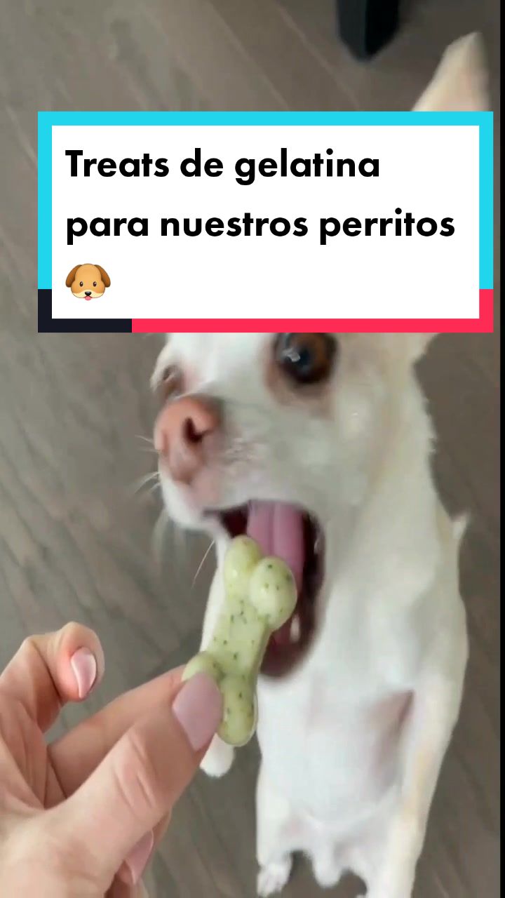 @delimascotas