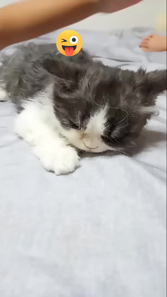 @박시현