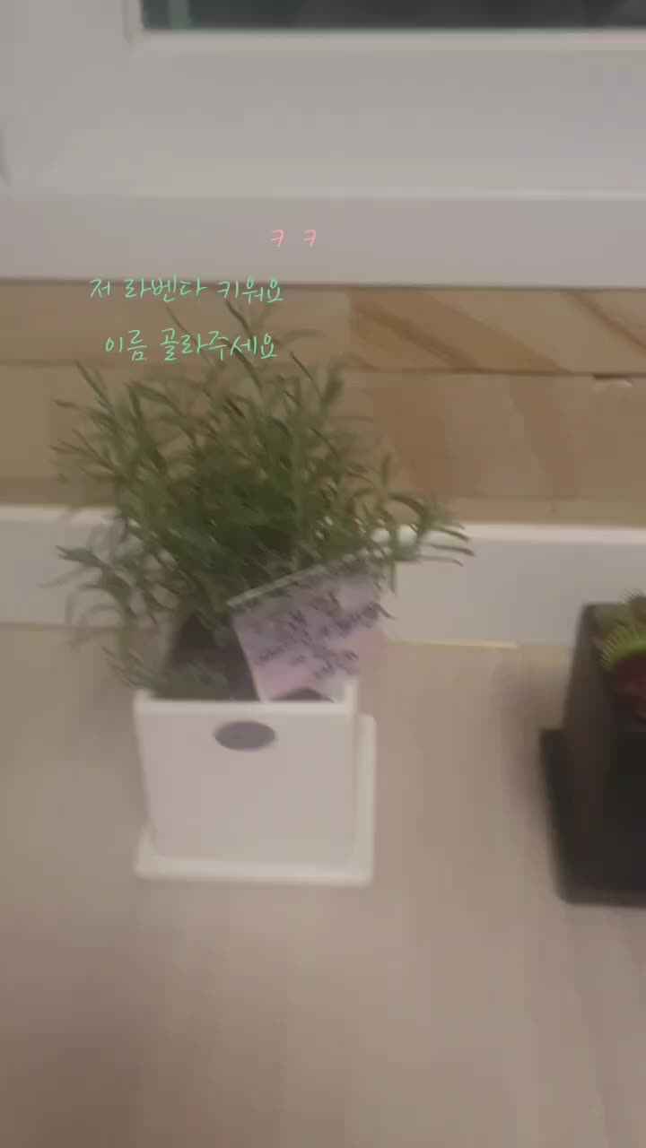 @연아