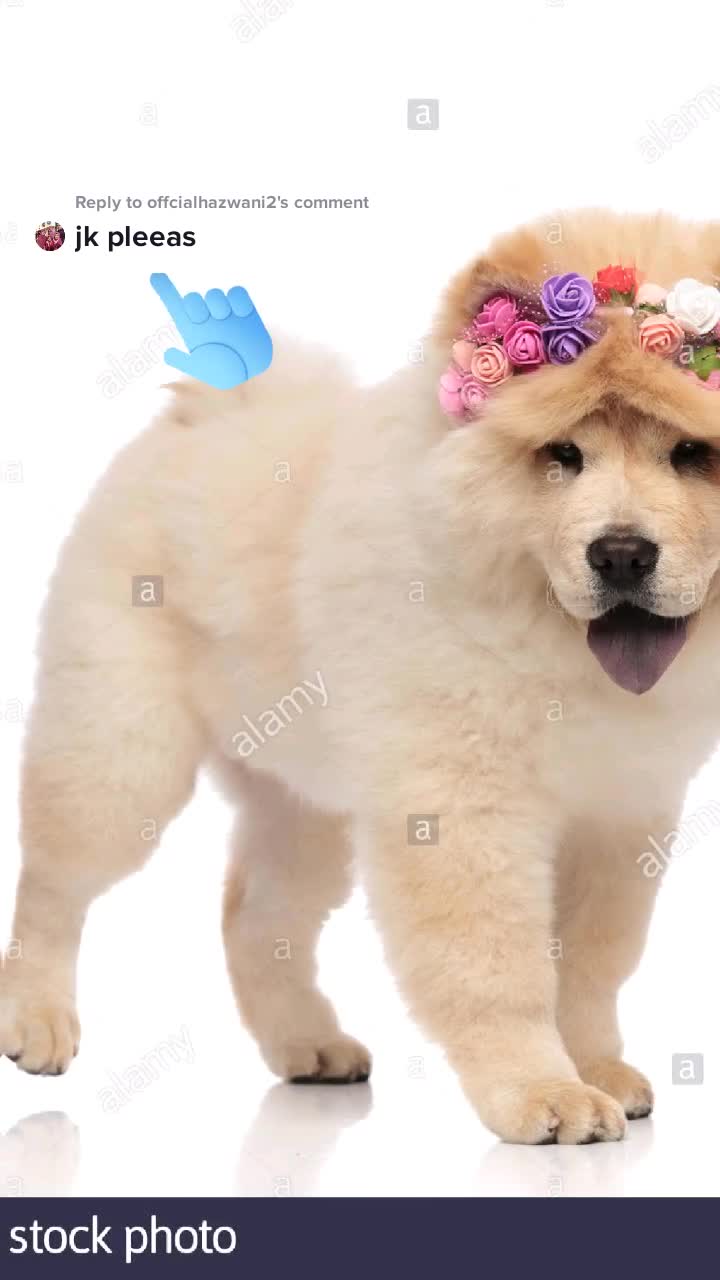 @park_chimmy