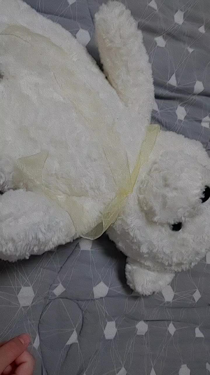 @๐งฉ ์ชผ์ด ( ์ ํธ์ง์ ๐งธ )๐งฉ
